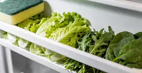 Foto: (Imagem sem texto alternativo disponivel ID [2703588])