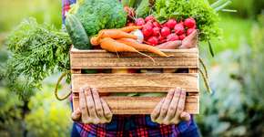 Por que estes vegetais podem proteger você de doenças crônicas