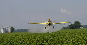 Anvisa libera agrotóxico relacionado ao Mal de Parkinson