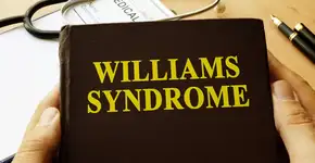 Entenda a síndrome que faz pessoas verem estranhos como melhores amigos