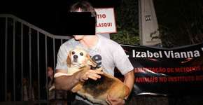 Entenda como foi o resgate dos beagles do Instituto Royal e saiba como ajudar