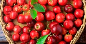 Por que esta fruta ajuda a controlar a saúde do coração?