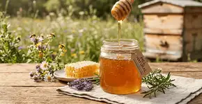 Foto: (Imagem sem texto alternativo disponivel ID [2762389])