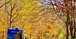 Motorhome: dicas para a primeira viagem pelos EUA