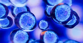 Brasileiro desenvolve técnica que pode avançar tratamento contra o câncer