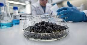 Foto: (Imagem sem texto alternativo disponivel ID [2687170])