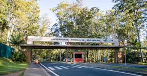 Foto: (Divulgação)