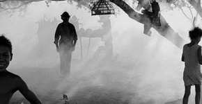 Foto: (Imagem sem texto alternativo disponivel ID [35563])