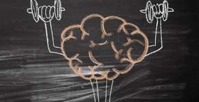 Foto: (Getty Images/iStockphoto)