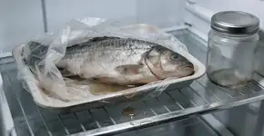 Foto: (Imagem sem texto alternativo disponivel ID [2679046])