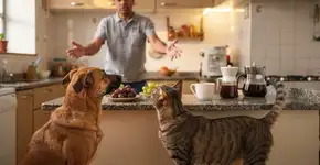 Foto: (Imagem sem texto alternativo disponivel ID [2691521])