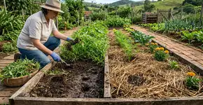 Poucos sabem: as maneiras mais eficazes de eliminar as ervas daninhas do seu jardim sem usar veneno