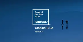 Cor de 2020 corre risco de desaparecer, alerta ONG