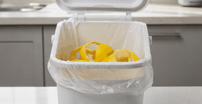 Foto: (Imagem sem texto alternativo disponivel ID [2755487])