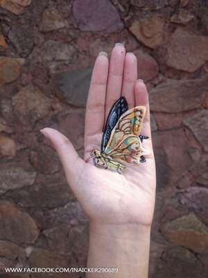 A jovem usa a própria mão como tela para seus desenhos (Reprodução/Facebook/Iantha Naicker)