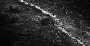 Foto: (Imagem sem texto alternativo disponivel ID [1211495])