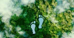 Brasileiros optam por viagens mais sustentáveis