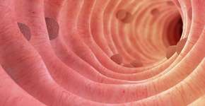 Foto: (luismmolina/istock)