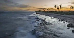 Foto: (pabst_ell/iStock)