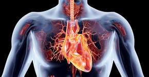 Está bebida que leva à doença cardíaca, diz estudo; Saiba qual