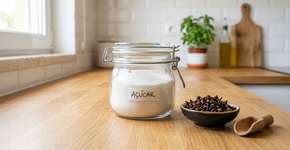 O truque para se livrar das formigas da cozinha sem químicos agressivos