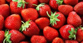 Como conservar morangos por mais tempo: técnicas eficazes para manter a fruta fresca e saborosa