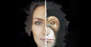 Em busca da vida – Sessão Comentada