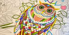 Livros de colorir aliviam estresse e destacam fuga para problemas pessoais