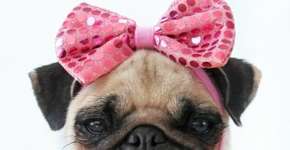 Foto: (Getty Images/Flickr RF)