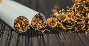 Pesquisadores buscam soluções inovadoras para reúso do cigarro