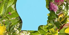 Foto: (Imagem sem texto alternativo disponivel ID [2434803])