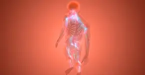 Foto: (magicmine/DepositPhotos)