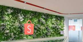 Shopee tem mais de 200 vagas de emprego abertas no Brasil