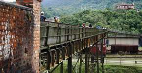 Foto: (Imagem sem texto alternativo disponivel ID [1868526])