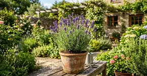 Dez plantas que ajudam a manter os carrapatos longe do seu jardim