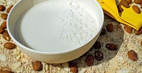 Conheça os alimentos sem lactose que podem substituir o leite