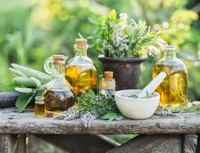 Bem estar: Menopausa: 6 plantas que contribuem para o bem-estar feminino