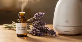 Foto: (Imagem sem texto alternativo disponivel ID [2686640])