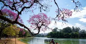 Foto: (Imagem sem texto alternativo disponivel ID [2639396])