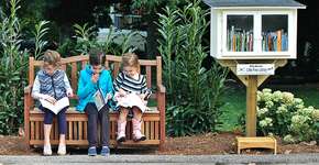 Pequenas bibliotecas em formato de casinha se espalham pelo mundo