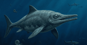 Foto: (Imagem sem texto alternativo disponivel ID [2748726])