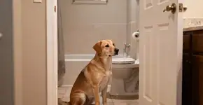 Foto: (Imagem sem texto alternativo disponivel ID [2671261])