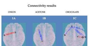 Foto: (Imagem sem texto alternativo disponivel ID [1834921])