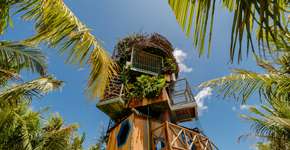 Foto: (Arnaldo Dantas/Divulgação)