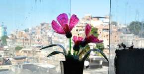 Foto: (Imagem sem texto alternativo disponivel ID [876485])