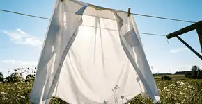 Foto: (Imagem sem texto alternativo disponivel ID [2743814])