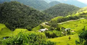 Foto: (Eduardo Andreassi)