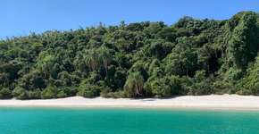 Foto: (Istock/Dominic Nicholas)