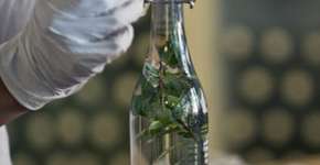 Foto: (Imagem sem texto alternativo disponivel ID [1896789])