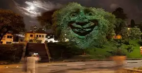 Conheça as árvores de SP que sorriem ou tossem de acordo com poluição